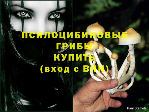 герыч Козловка
