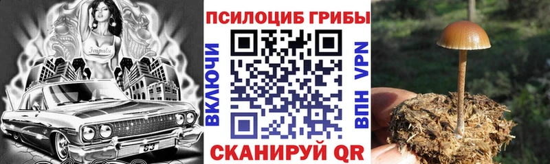 Галлюциногенные грибы MAGIC MUSHROOMS  Купить закладки  Ижевск 